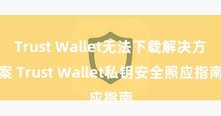 Trust Wallet无法下载解决方案 Trust Wallet私钥安全照应指南