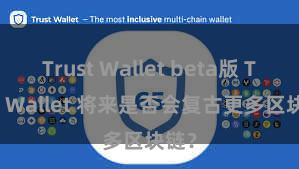 Trust Wallet beta版 Trust Wallet 将来是否会复古更多区块链？