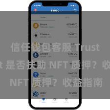 信任钱包客服 Trust Wallet 是否扶助 NFT 质押？收益指南