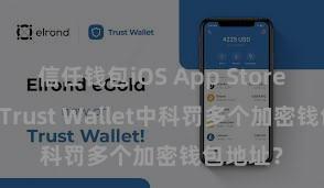 信任钱包iOS App Store 如安在Trust Wallet中科罚多个加密钱包地址？