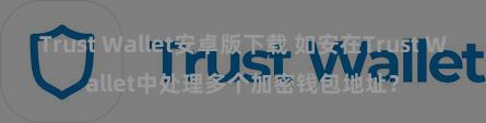 Trust Wallet安卓版下载 如安在Trust Wallet中处理多个加密钱包地址？