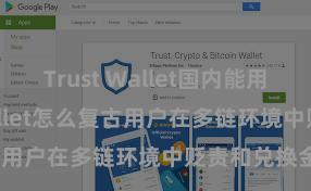 Trust Wallet国内能用吗 Trust Wallet怎么复古用户在多链环境中贬责和兑换金钱？