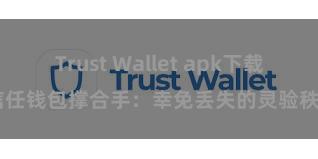 Trust Wallet apk下载 信任钱包撑合手：幸免丢失的灵验秩序